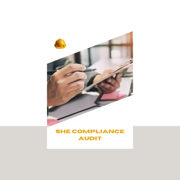 12 SHE Compliance Audit